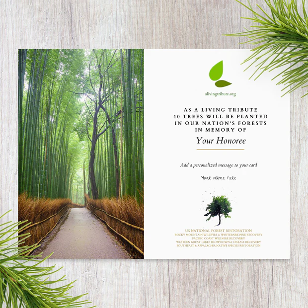 Plant a tree in their memory